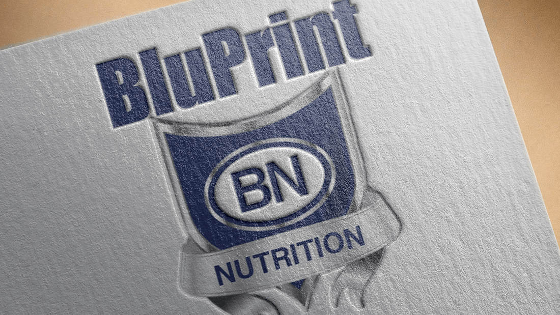 BluPrint-Nutrition-Supplement-Logo-Design