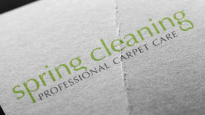 carpet-cleaning-company-logo-design-big-hit-creative-group